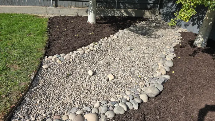 A backyard dry creek bed of river rock with cobble borders winding between fresh bark-mulch beds and aspen trunks