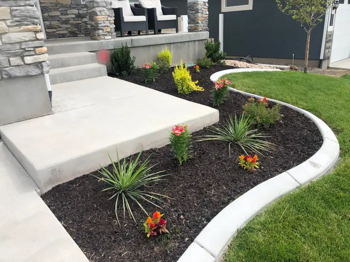 Curved concrete curbing around a new lawn and a mulch bed of yucca, lilies and barberry beside a front porch