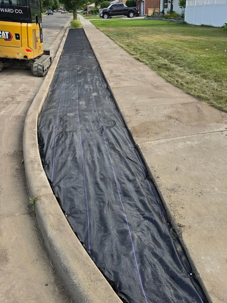 Before: the same park strip covered in pinned black weed fabric, a mini excavator parked at the left
